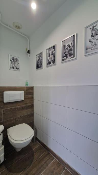 Modern Jungle - Colmar Apartment Exterior foto